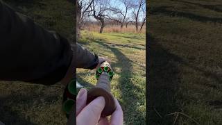 Blowgun Hunting Practice blowguns hunting hoghunting bigbore catchandcook archery [upl. by Nwahsd]