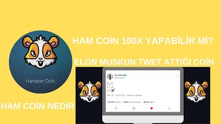 HAMSTER COÄ°N 100X YAPABÄ°LÄ°R MÄ°  GÃœNCEL TEKNÄ°K VE TEMEL ANALÄ°Z  GELECEÄžÄ° YORUM [upl. by Obola]