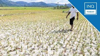 DOST El Niño to affect more provinces as extended dry season likely  INQToday [upl. by Noffets]