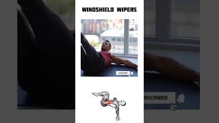 Windshield Wipers Exercise How To Do And Muscles Worked absathome homeworkoutideas homegym [upl. by Nagram]