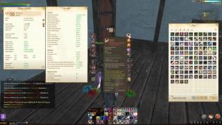 ArcheAge  Pvp Abolisher and Solo Pve Hex Warden Gear [upl. by Rheta]