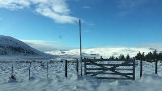 Potros en la nieve [upl. by Ytnom]