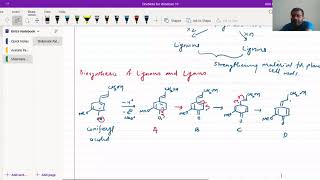 Biosynthesis of Lignins And Lignans [upl. by Anilrac621]