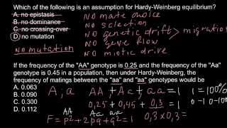 HardyWeinberg idealized population requirements [upl. by Ayatnwahs835]