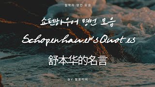 쇼펜하우어 명언 모음 Schopenhauers Quotes 舒本华的名言 [upl. by Bartley354]