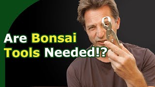 Which Bonsai Tools Should You Have [upl. by Anelleh]