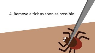 How to Prevent Tick Bites [upl. by Enailil]