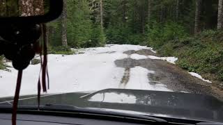 North Fork Wolf Creek and Salmonberry Rd  April 1st 2019  Road Conditons [upl. by Kaleb]