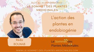 Laction des plantes en endobiogénie  avec Réda BOUNAB [upl. by Chamberlin]