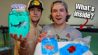 UNBOXING MYSTERY FISH SENT THRU THE MAIL [upl. by Leitnahs]