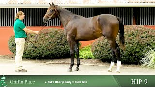 Hip 9  c Take Charge Indy x Bella Mia [upl. by Nakre]