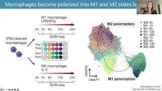 quotLeveraging singlecell transcriptomics to study complex diseasesquot  Annique Claringbould [upl. by Renaldo447]