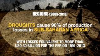 The impact of disasters on agriculture and food security [upl. by Birch]