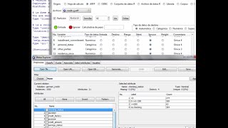 Rattle con Soft R para archivos arff de Weka Data Mining Árboles [upl. by Esened]