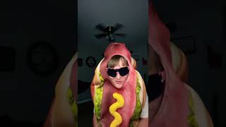 Hot Diggity dog funny music [upl. by Nnaillij]