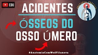 Osso Úmero ACIDENTES ÓSSEOS Quais são❗❓DESCUBRA AQUI❗ Anatomia Prática [upl. by Nollahp]