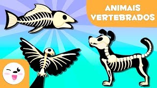 ANIMAIS VERTEBRADOS para crianças  Mamíferos aves répteis peixes e anfíbios [upl. by Ellenaej]