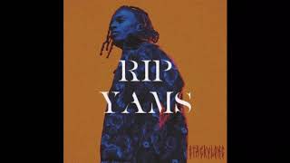 Playboi Carti  RIP YAMS INSTRUMENTAL ProdPierreBourne [upl. by Oramlub]