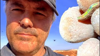 We search a dangerous abandoned opal mine in Coober Pedy Australia Opal mining documentary [upl. by Prussian573]