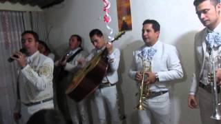 Clavelitos con Amor  Serenata Para Una Madre por Mariachi Juveniles Show Bogotá [upl. by Sadnak]