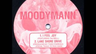 Theo Parrish amp Moodymann  Lake Shore Drive [upl. by Nalda]