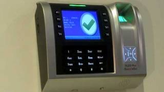 Fingerprint Time Clock  Fingertec TA200 [upl. by Hollis]