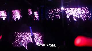 Avicii feat Aloe Blacc  Wake Me Up Early Play Demo Vocals  Vanguard Feb 2013 [upl. by Ebner]