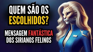 QUEM SÃO OS ESCOLHIDOS por Felinos de Sirius [upl. by Ricoriki]