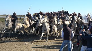 STESMARIES DE LA MERAbrivados des Plages11112024 [upl. by Hollinger412]