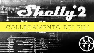 Shelly 2 collegamento dei fili per punti luce e tapparella elettrica [upl. by Akemed97]