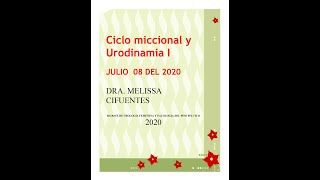 Clase Ciclo Miccional y Urodinamia I  Dra Cifuentes [upl. by Aillij389]