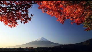 3 HOURS of the Best Traditional Japanese Music  Relaxing Music for Stress Relief and Healing [upl. by Black]