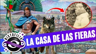 ¡¡INCREIBLE El primer zoo CON HUMANOS de la historia fue MEXICANO 😱 [upl. by Zindman]