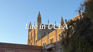 미국 UCLA 유학생 vlog  EP11 버티다 보니 이제 조금 알 것 같은 현실적인 유학생 일상 [upl. by Enyluqcaj]