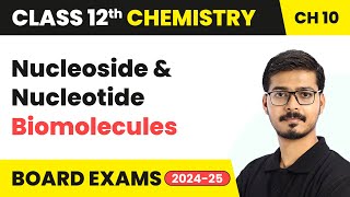 Nucleoside amp Nucleotide  Biomolecules  Class 12 Chemistry Chapter 10  CBSE 202425 [upl. by Brownley662]