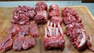 How To Butcher A Shoulder Of Venison SRP [upl. by Ahilam828]