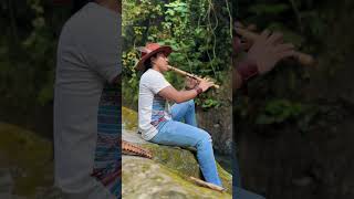 Metasequoia  Flute Panflute livemusic jungle amazon Ecuador river nature cave relax medit [upl. by Aihtnis724]