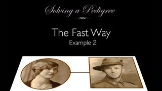 Solving a Pedigree  the Fast Way example 2 [upl. by Aetnuahs]