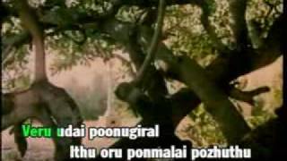 TAMIL KARAOKE VIDEOS ITHU VORU PON MAALAI PART 1 [upl. by Eicram]