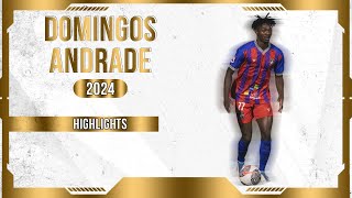 DOMINGOS ANDRADE  DEFENSIVE MIDFIELDER  FELGUEIRAS  POR  2024 [upl. by Haidedej]