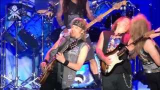 Iron MaidenThe Trooper Live in Download Fest 2013 [upl. by Yarised]