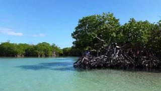 Gilligans Island  Guanica Puerto Rico [upl. by Syman]