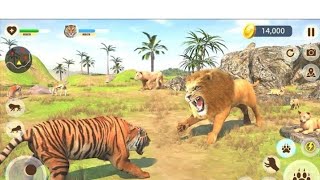 Wild Lion Simulator 3D by Turbo Rocket Games Android Gameplay HDDroidGameplaysTV [upl. by Snell]