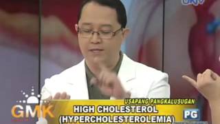 Hypercholesterolemia High Cholesterol [upl. by Rivard]