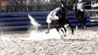 HorseBall  The most impressive equestrian sport [upl. by Setiram]