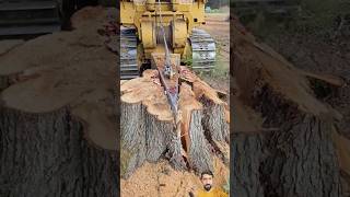 Wood cutting machine is doing job well youtubeshorts heavyequipmen viral trending woodcutting [upl. by Meekyh]