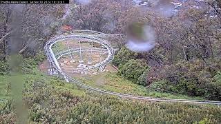 Thredbo Alpine Coaster Live [upl. by Lenoj]