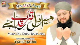 Hafiz Tahir Qadri  Mera Dil Tarap Raha Hai  New Heart Touching Naat 2023  Mujhe Le Chalo Madina [upl. by Imotas911]