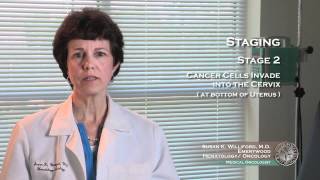 Uterine Cancer Staging 3 [upl. by Llenart]