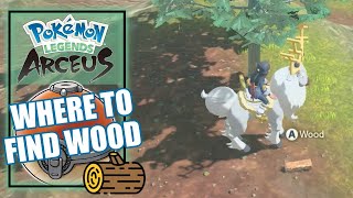 Pokemon Legends Arceus  Where to Find Wood Location [upl. by Winonah622]